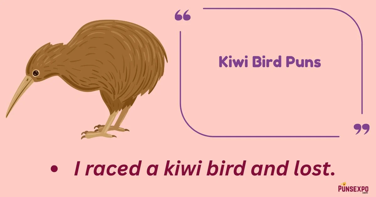 Kiwi Bird Puns