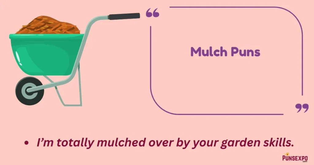 Mulch
