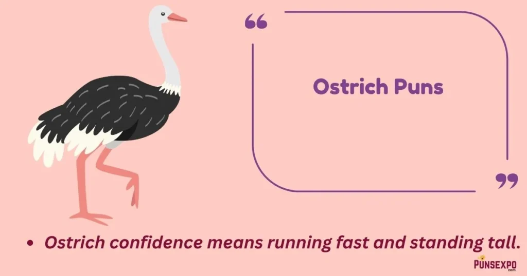 Ostrich Puns
