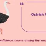 Ostrich Puns