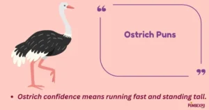 Ostrich Puns