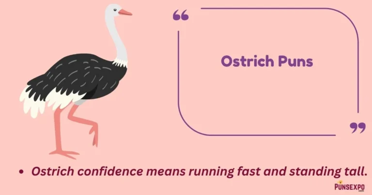 Ostrich Puns