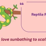 Reptile Puns