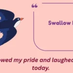 Swallow Puns