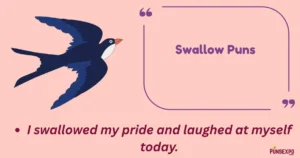 Swallow Puns