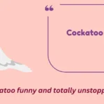 Cockatoo Puns