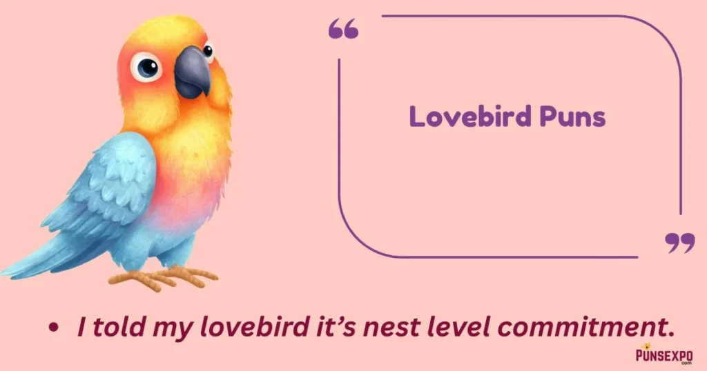 Lovebird Puns