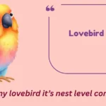 Lovebird Puns