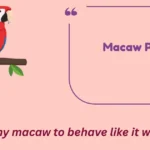 Macaw Puns
