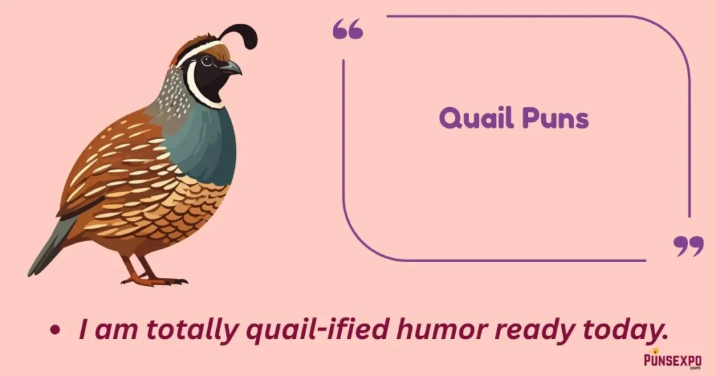 Quail Puns