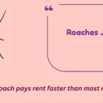 Roaches Jokes