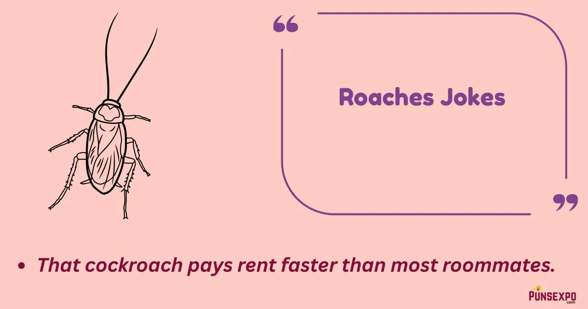 Roaches Jokes