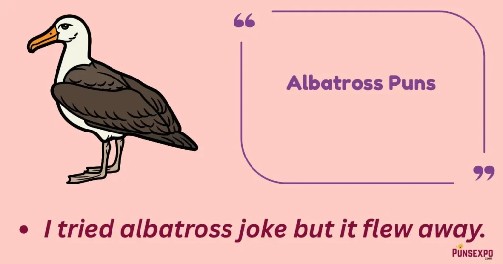 Albatross Puns