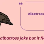 Albatross Puns