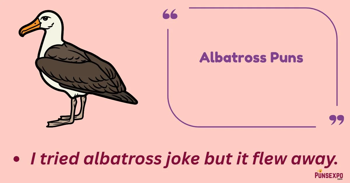 Albatross Puns