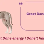 Great Dane Puns