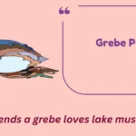 Grebe Puns