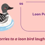 Loon Puns