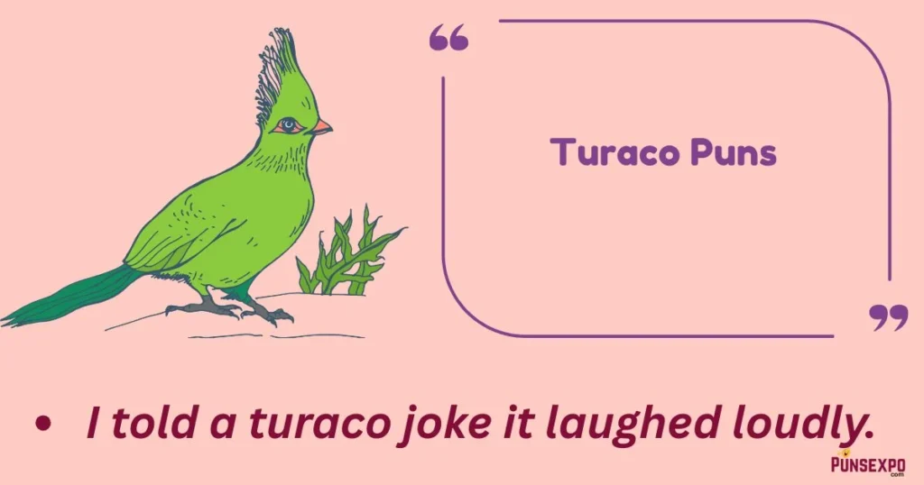 Turaco Puns